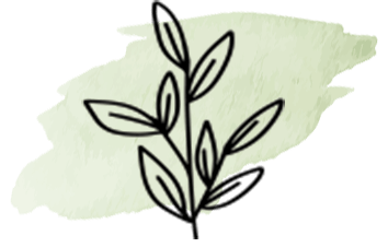 historia-logo2