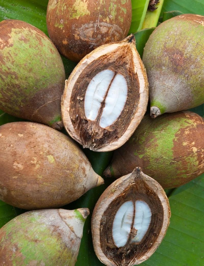 Babassu