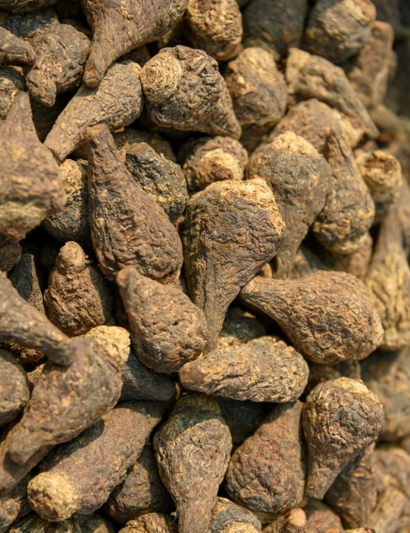 Maca