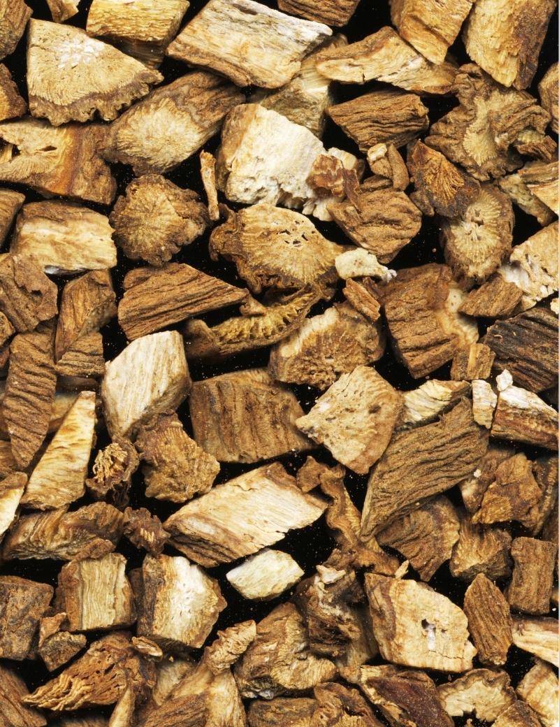 Raiz de bardana